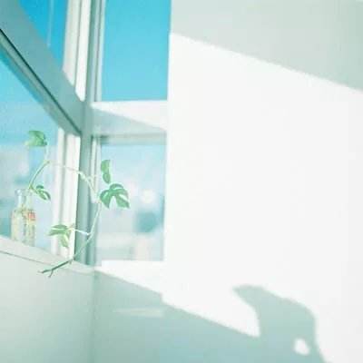 体育皇冠官网下载截图